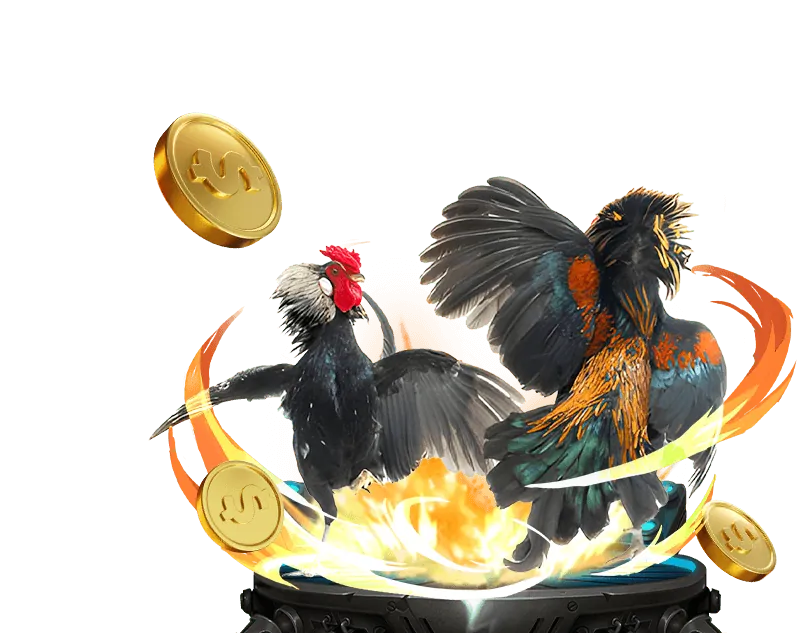 Hình ảnh minh họa các quy tắc cá cược chung five88 .vin